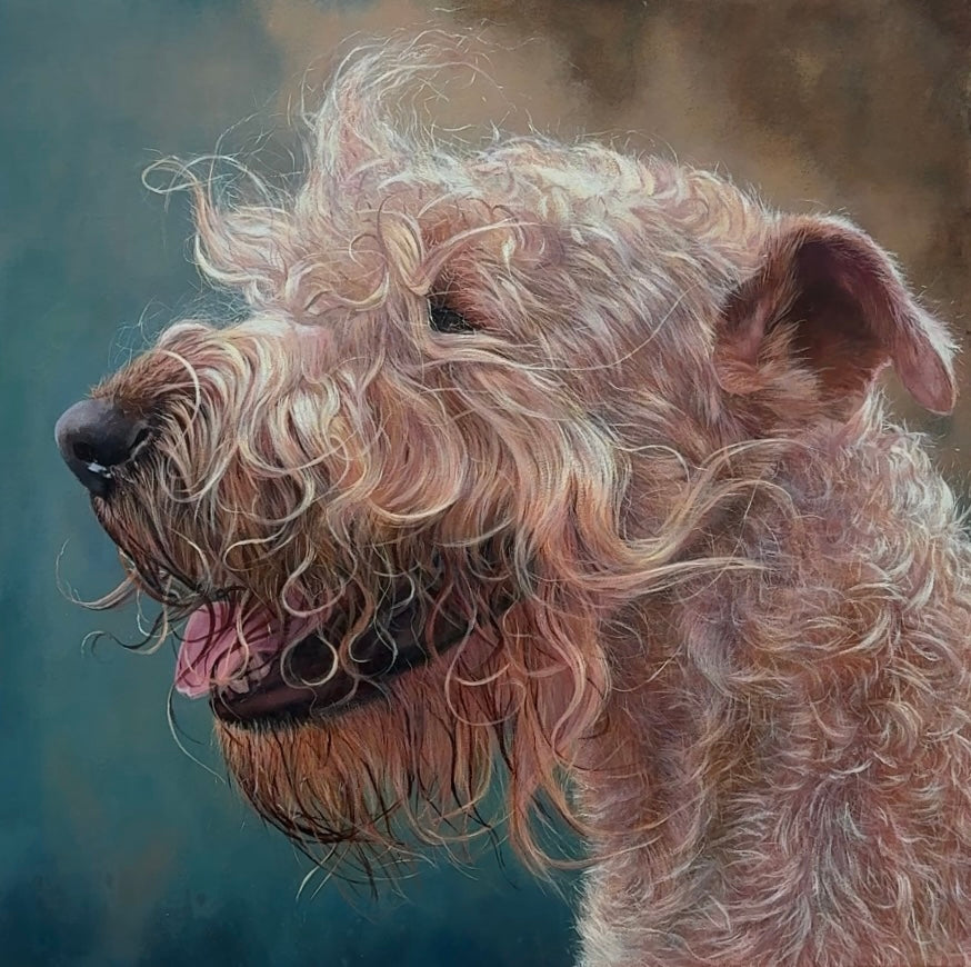 Painting 'Soft Coated Wheaten Terrier' Triptych ('Irish Dog Portraiture' collection)