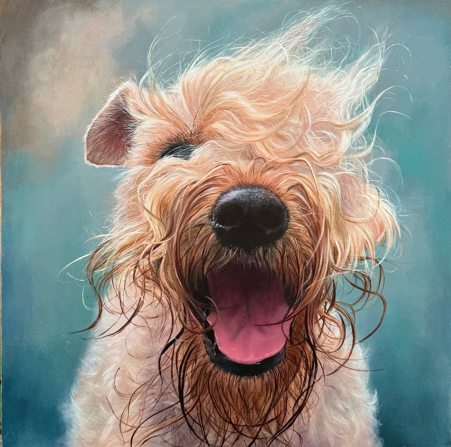 Painting 'Soft Coated Wheaten Terrier' Triptych ('Irish Dog Portraiture' collection)