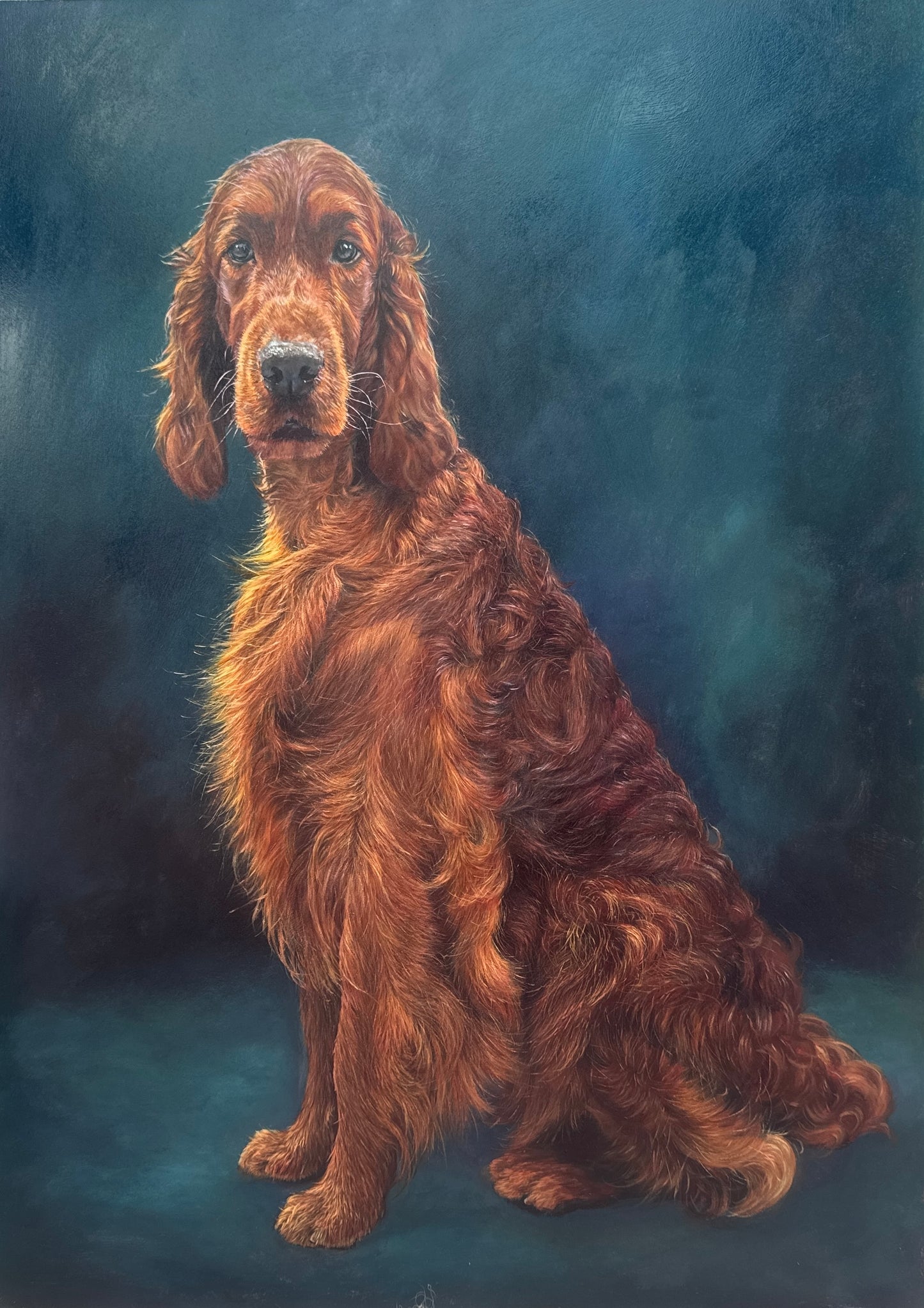 Portrait of an Irish Red Setter (Price on request)