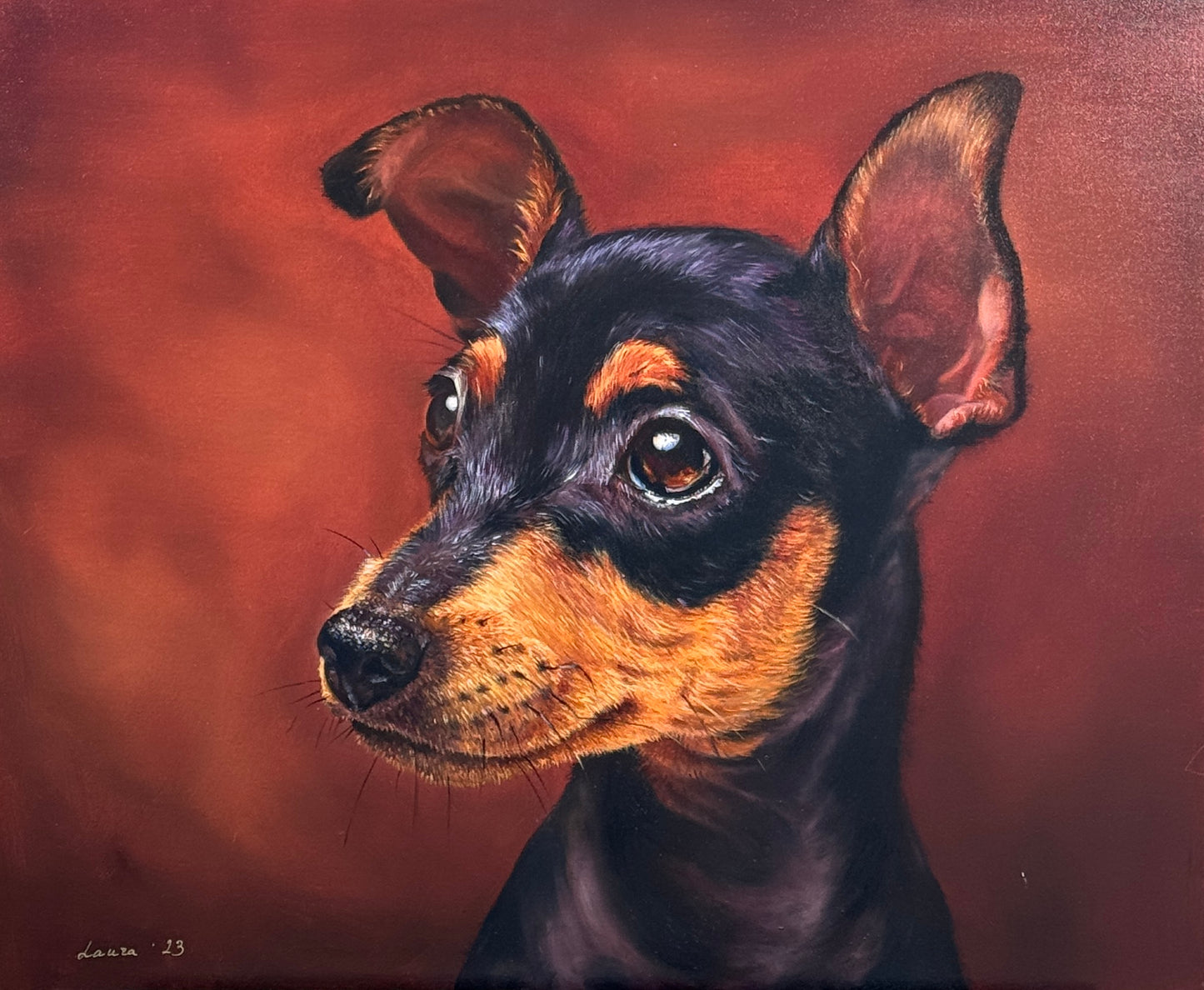 Portrait of Miniature Pinscher