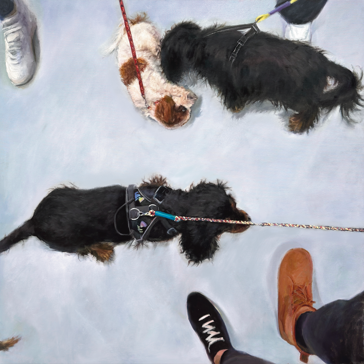 Happy Feet fine art print featuring dogs meeting at a dog show.