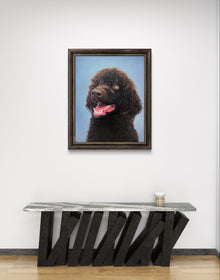 Portrait of a Water Spaniel ('Irish Dog Portraiture' collection)