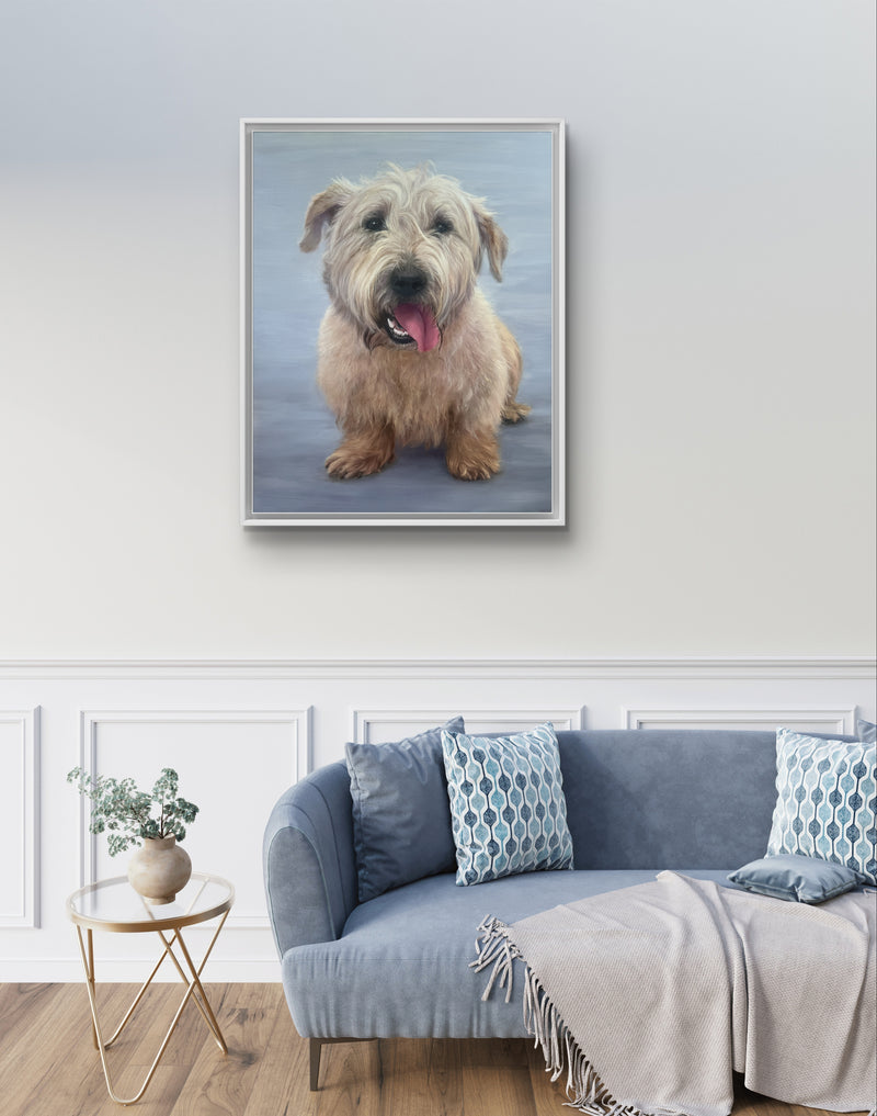 Portrait of a Glen Terrier ('Irish Dog Portraiture' collection)