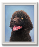 Portrait of a Water Spaniel ('Irish Dog Portraiture' collection)