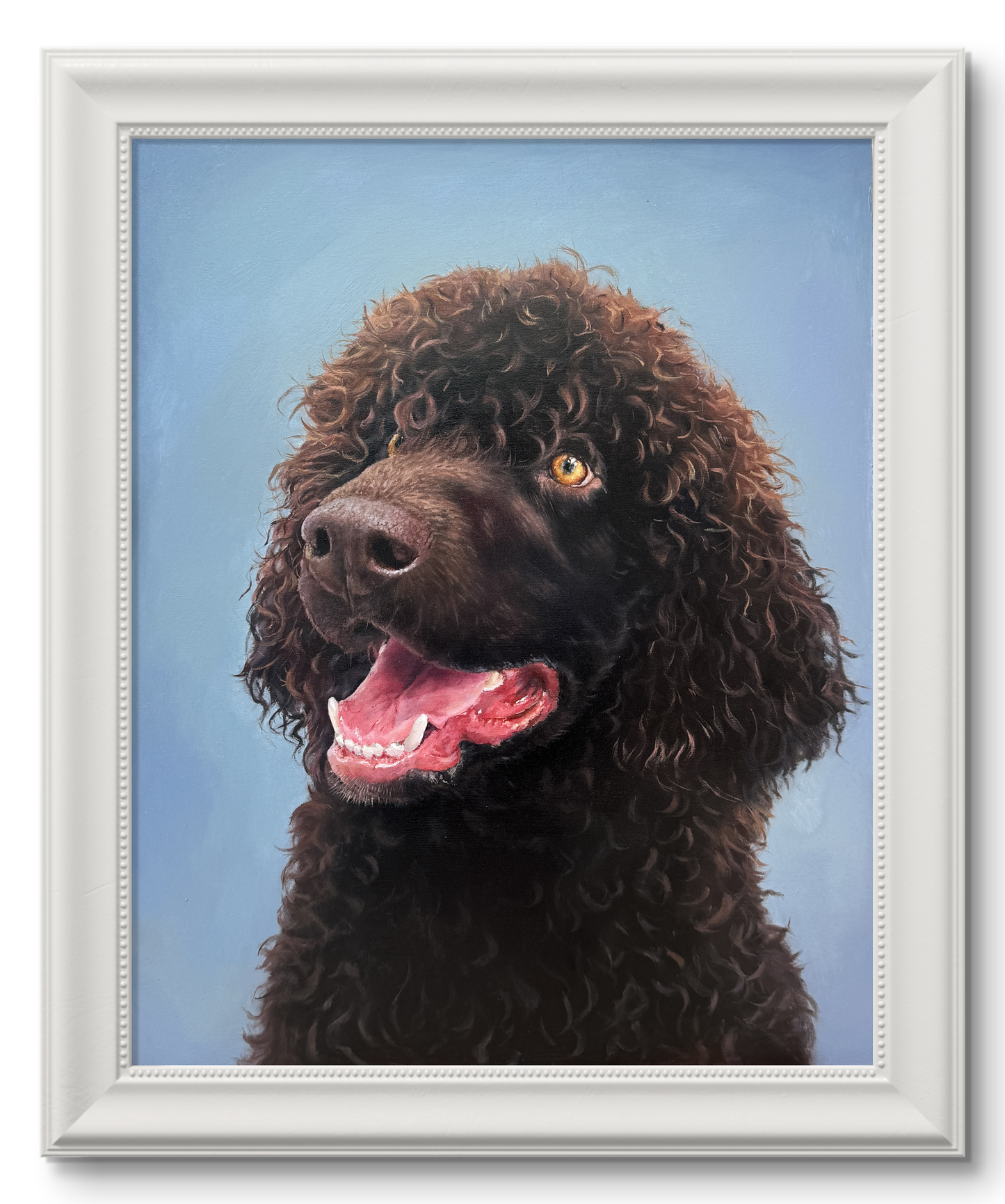 Portrait of a Water Spaniel (price on request)