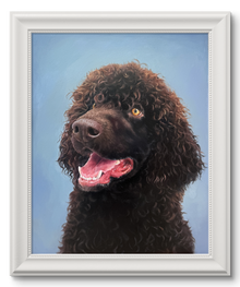 Portrait of a Water Spaniel ('Irish Dog Portraiture' collection)