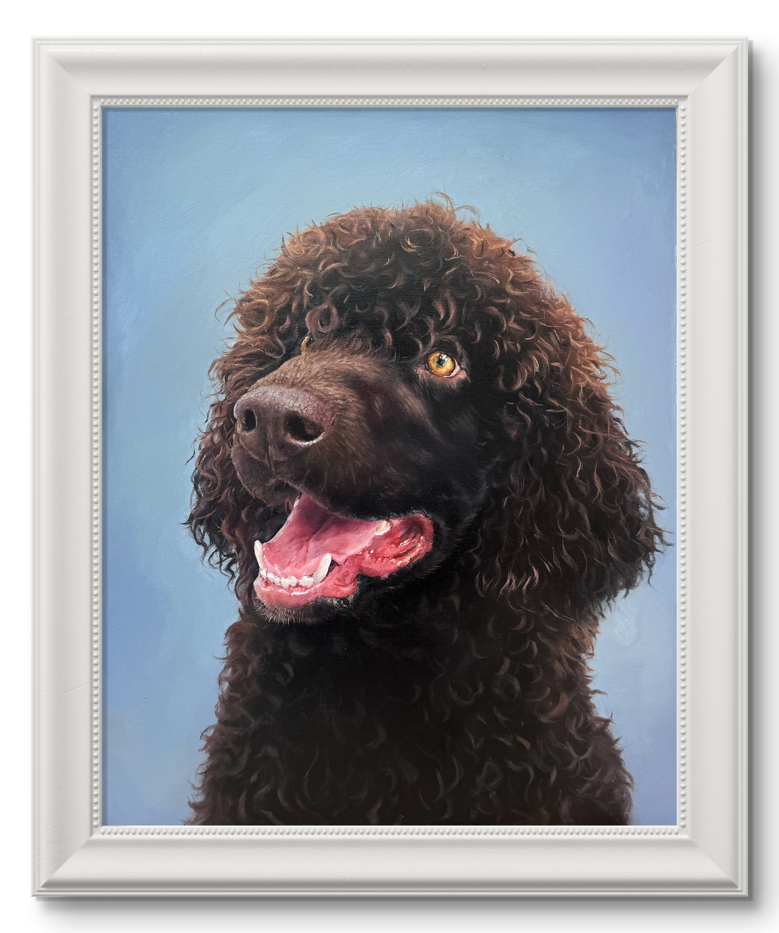 Portrait of a Water Spaniel ('Irish Dog Portraiture' collection)