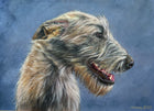 Irish Wolfhound ('Irish Dog Portraiture' collection)