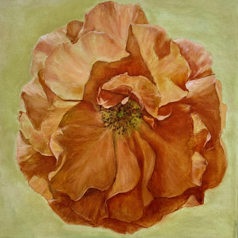 Terracotta rose