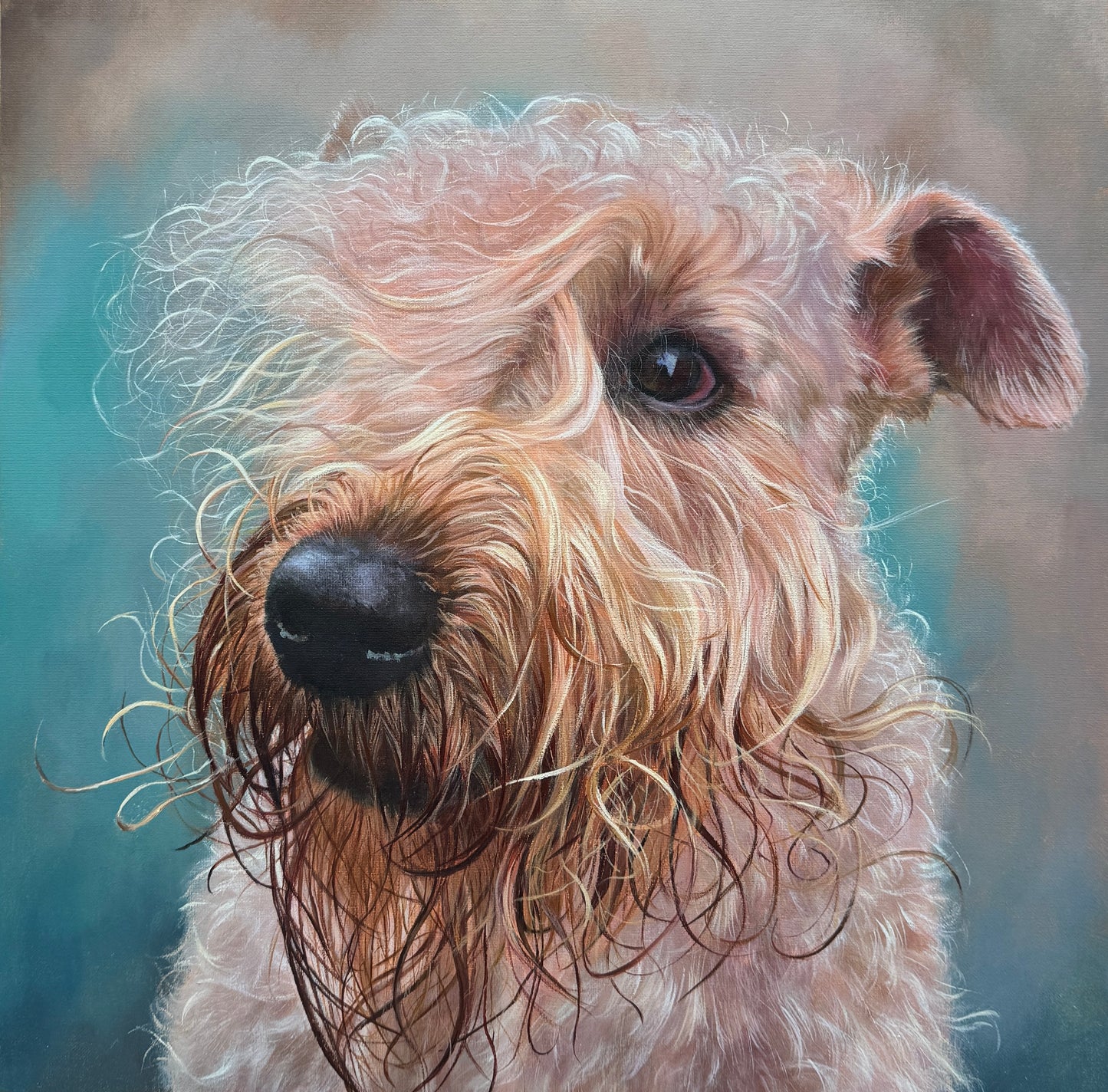 Painting 'Soft Coated Wheaten Terrier' (Triptych) (price on request)