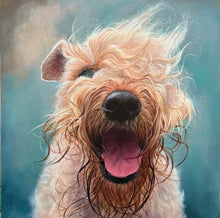Painting 'Soft Coated Wheaten Terrier' Triptych ('Irish Dog Portraiture' collection)