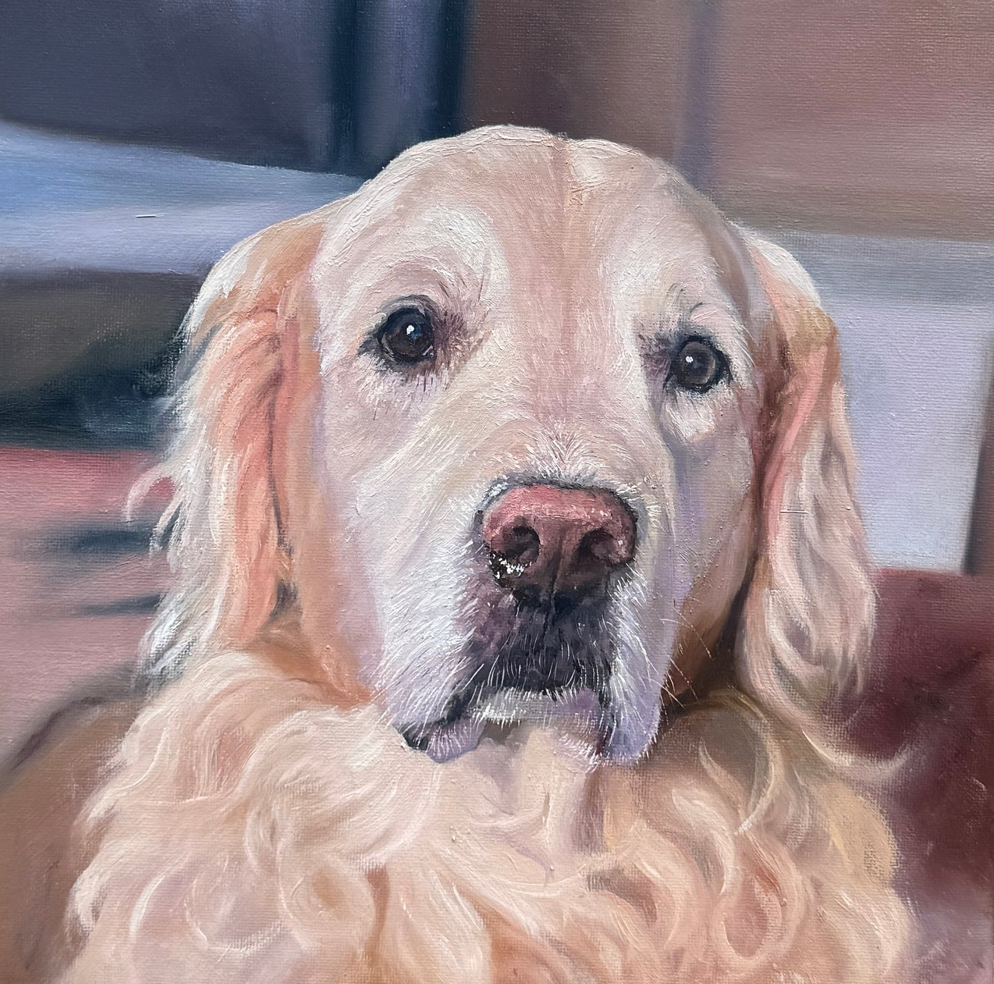 Portrait of a Golden Retriever