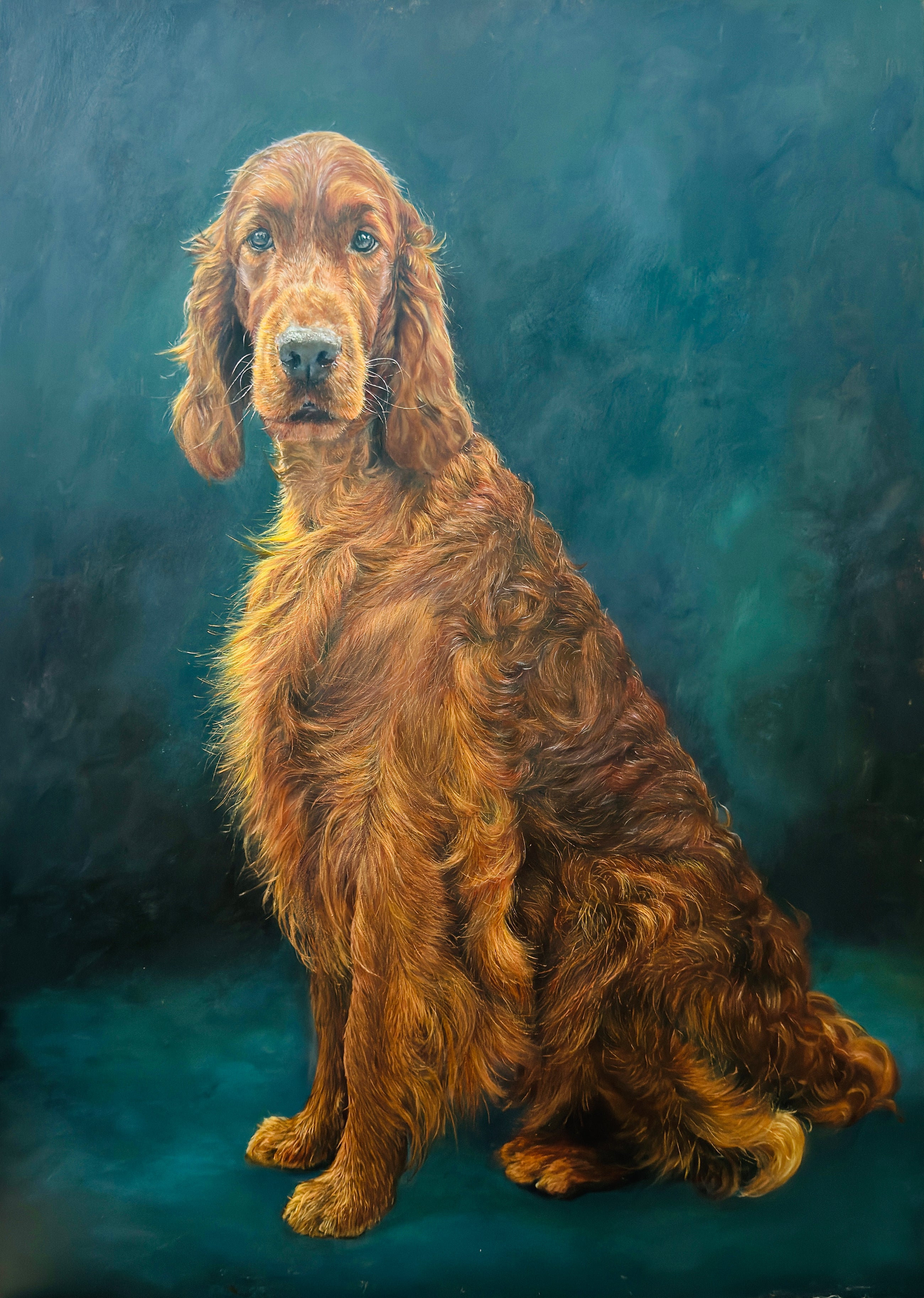 Portrait of an Irish Red Setter ('Irish Dog Portraiture' collection)