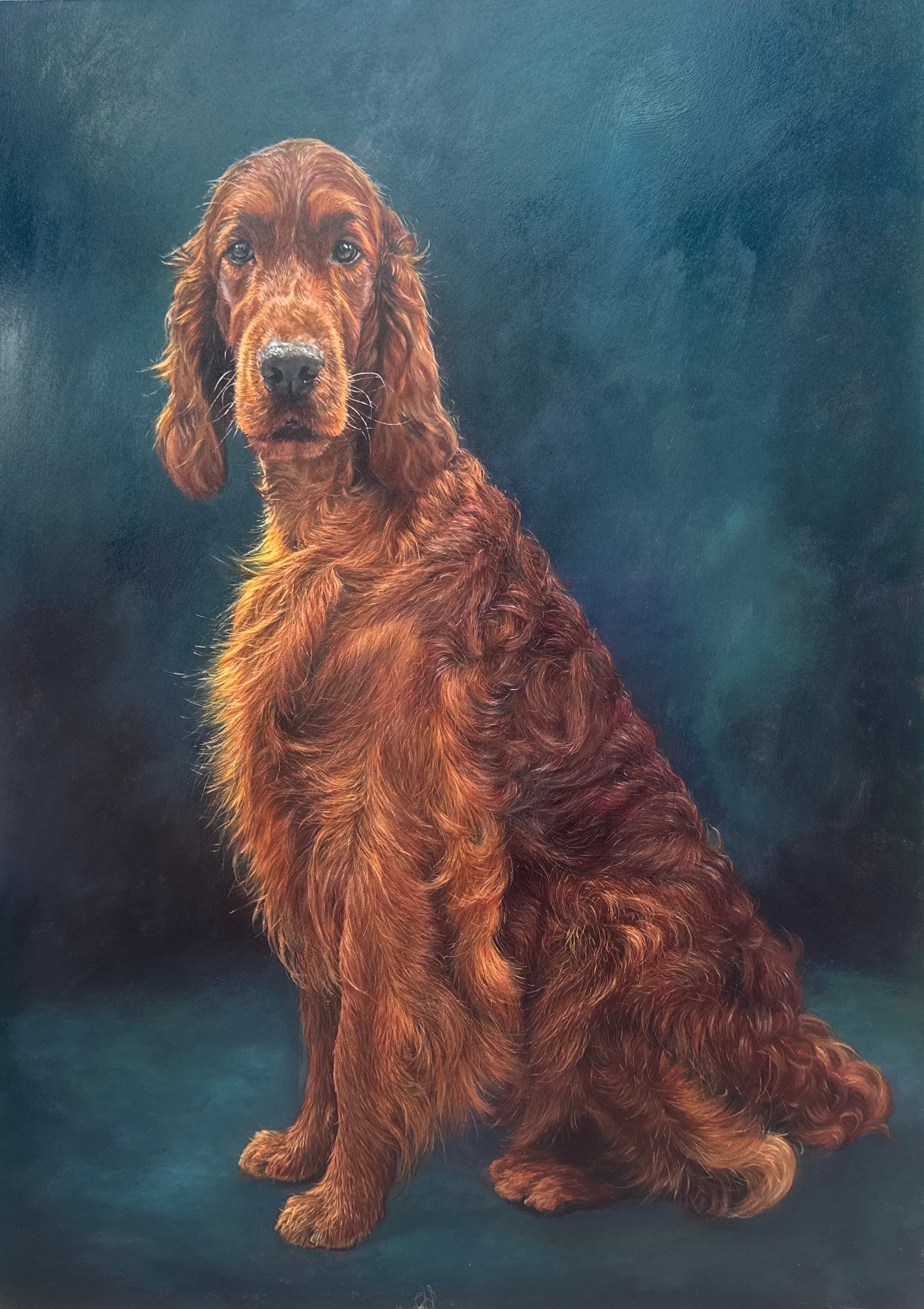 Portrait of an Irish Red Setter ('Irish Dog Portraiture' collection)