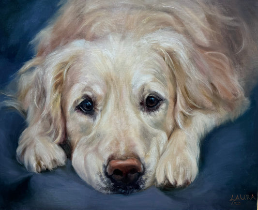 Portrait of a Golden Retriever