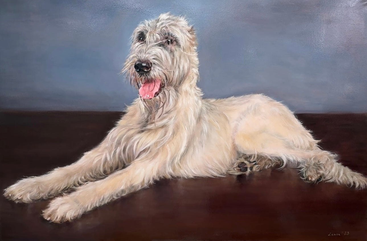 Irish Wolfhound (price on request)