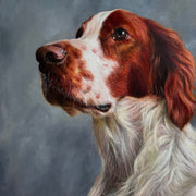 Portrait of Red and White Setter ('Irish Dog Portraiture' collection)