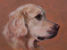 Portrait of a Golden Retreiver