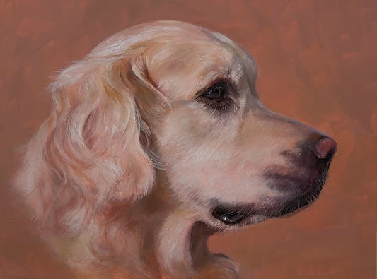 Portrait of a Golden Retreiver (price on request)