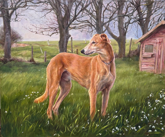 Portrait of Ned