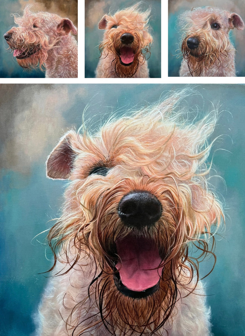 Painting 'Soft Coated Wheaten Terrier' (Triptych) - Original Framed Dog Painting