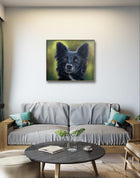 Portrait of a Border Collie