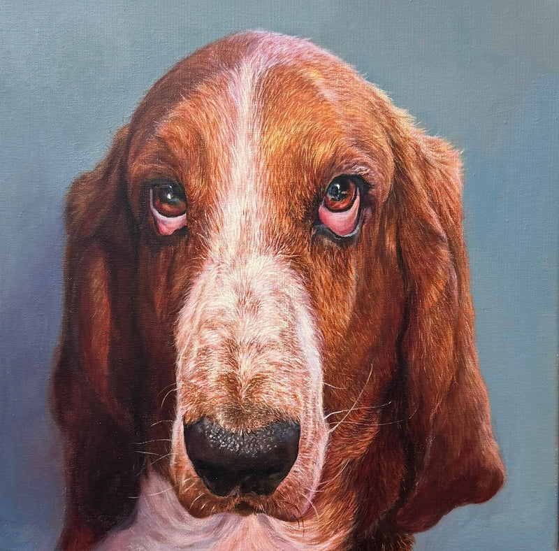 Acrylic portrait of Walter, a Basset Hound