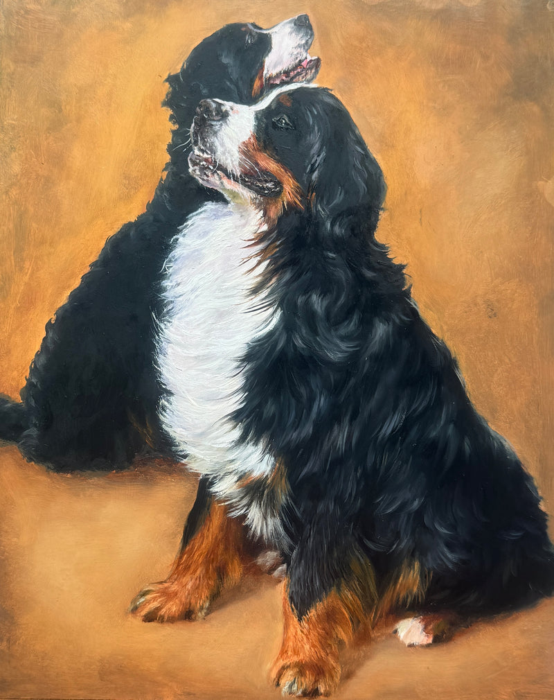 Siblings, an oil painting of two Bernese Mountain Dogs.