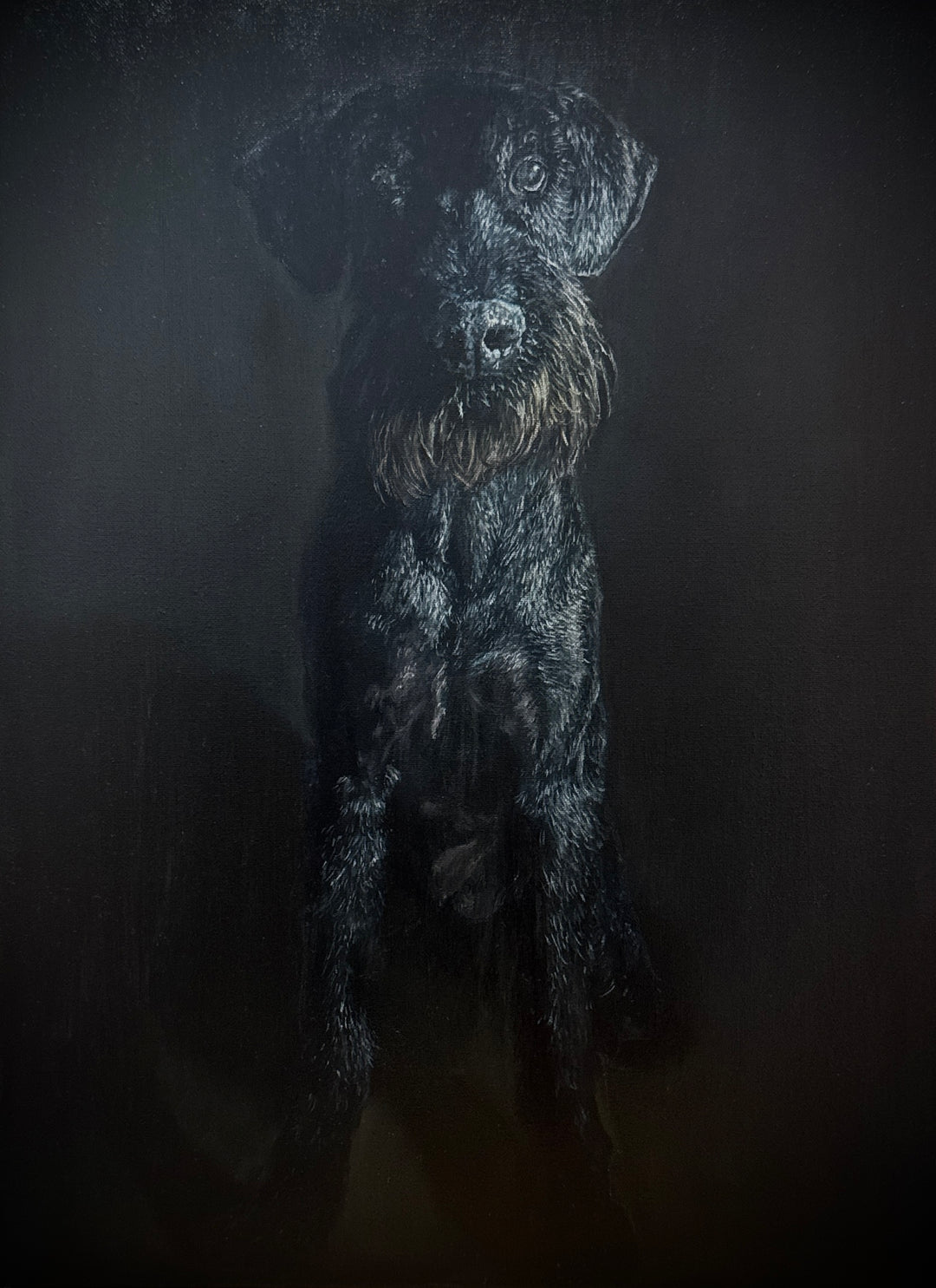 Oil portrait of Perico, a black dog, on a black background.