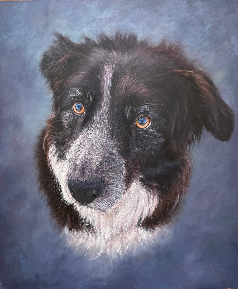 Acrylic portrait of Lily, a Border Collie