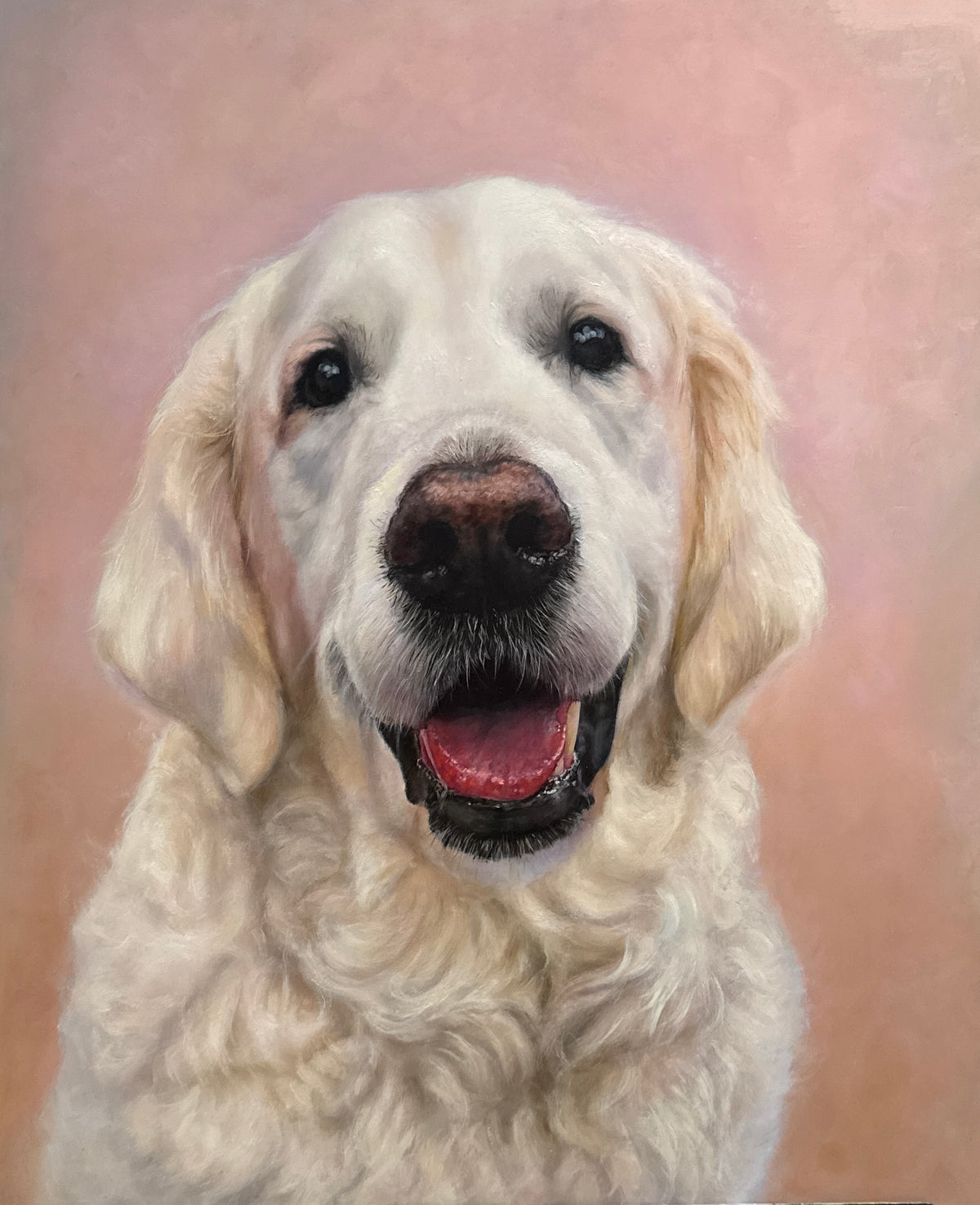 White golden retriever dog with a pinkish-brown background