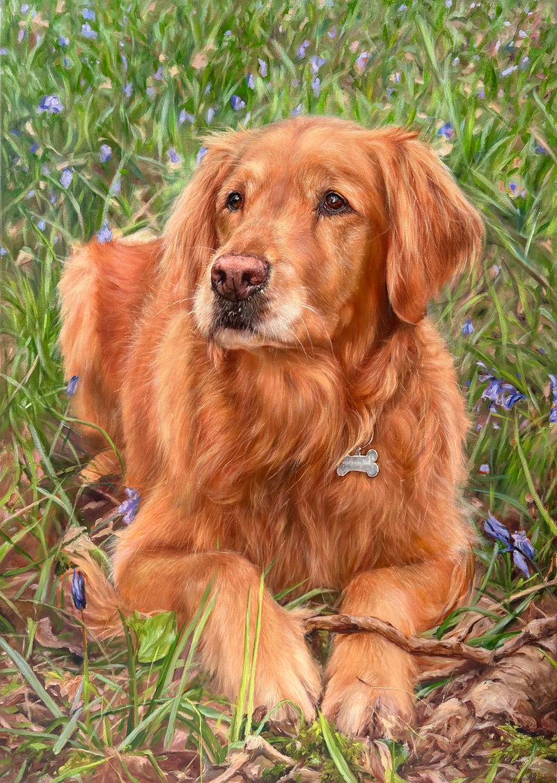 Oil portrait of Kaos, a Golden Retriever.