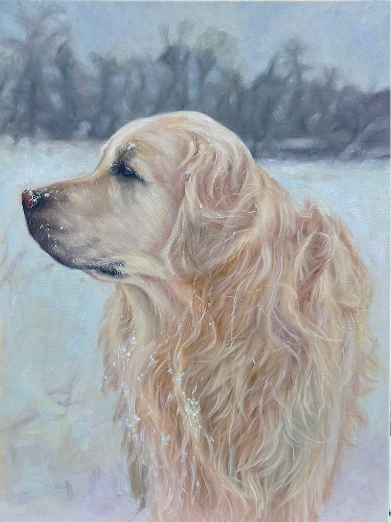 A Memory of Winter, an oil portrait of a golden retriever Rix standing in the snow.