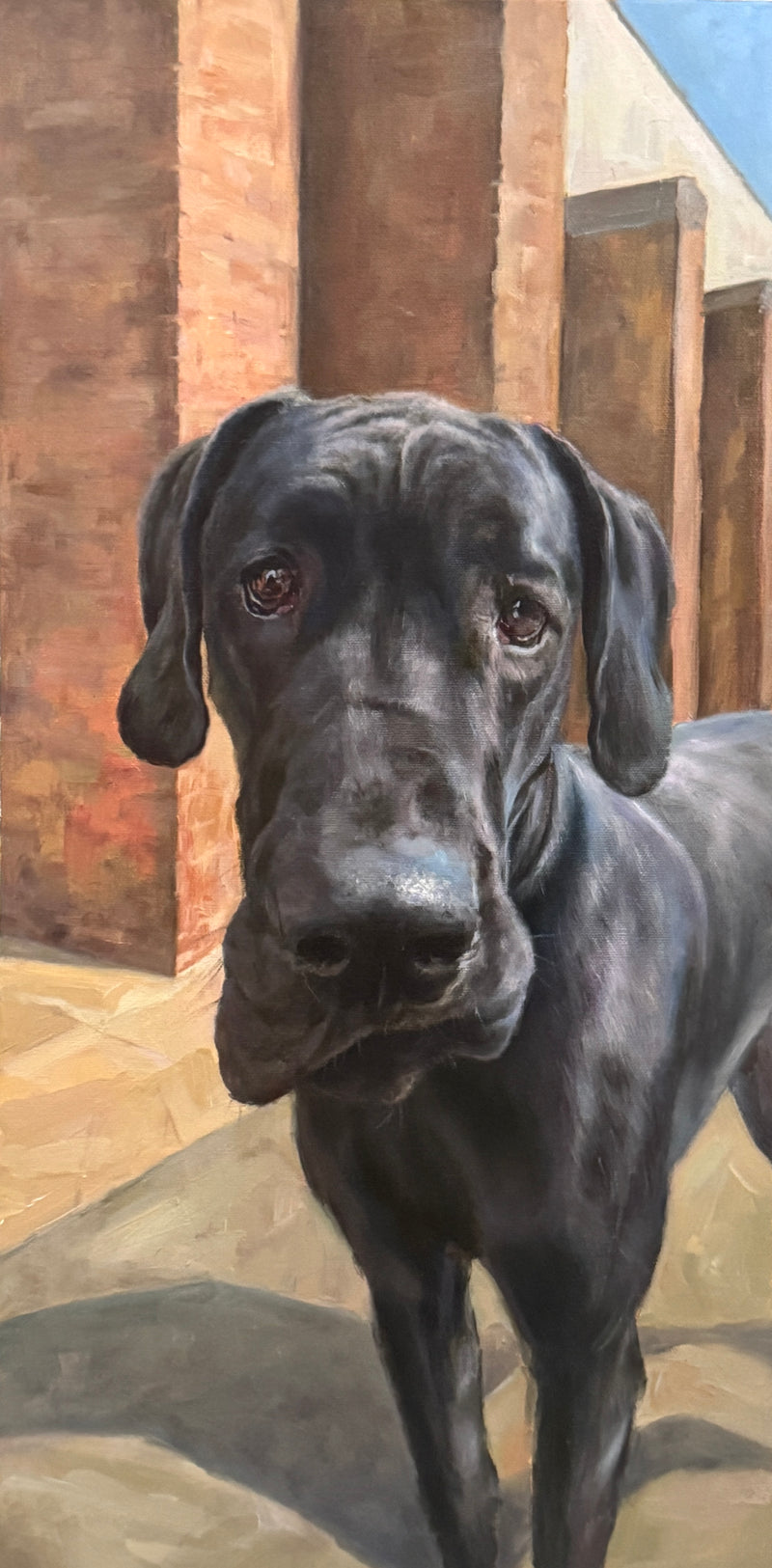 Tell Me, an oil painting of a Great Dane.