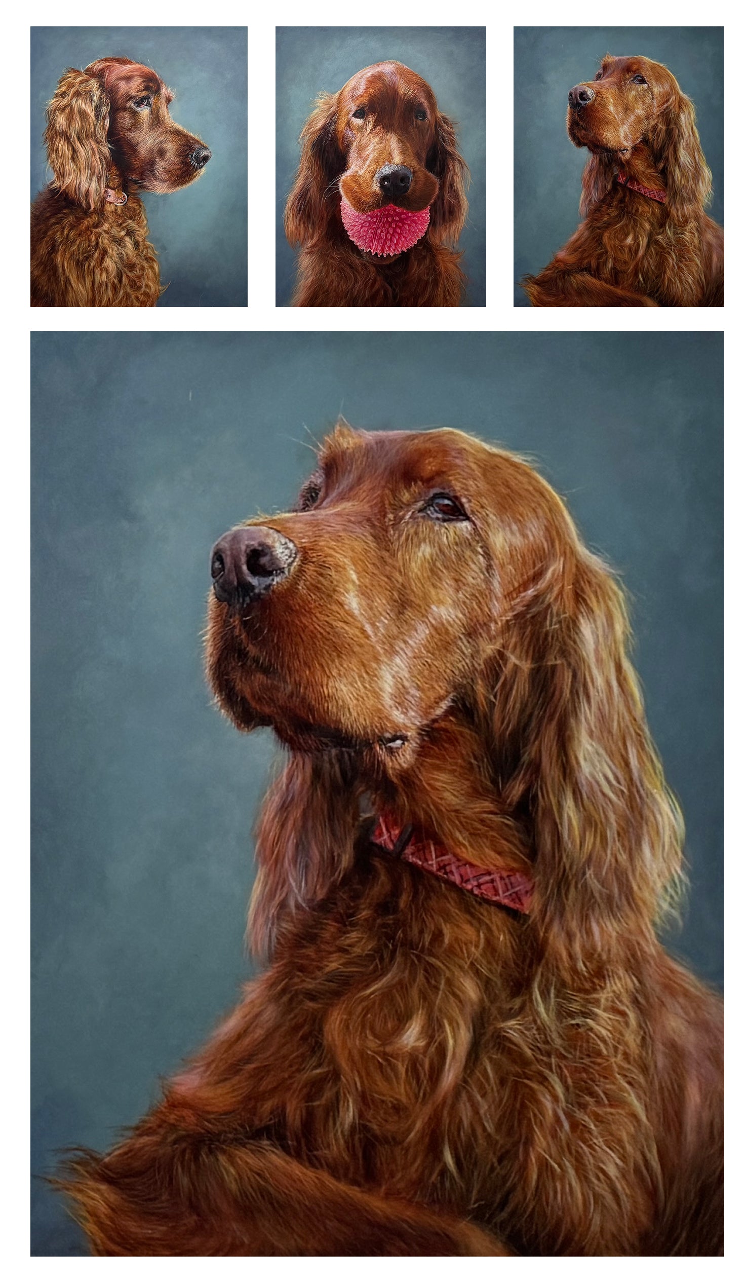 Acrylic triptych portrait of Finnegan, an Irish Setter.