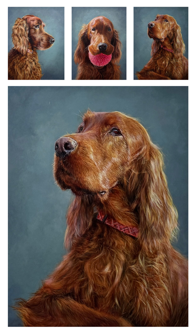 Acrylic triptych portrait of Finnegan, an Irish Setter.
