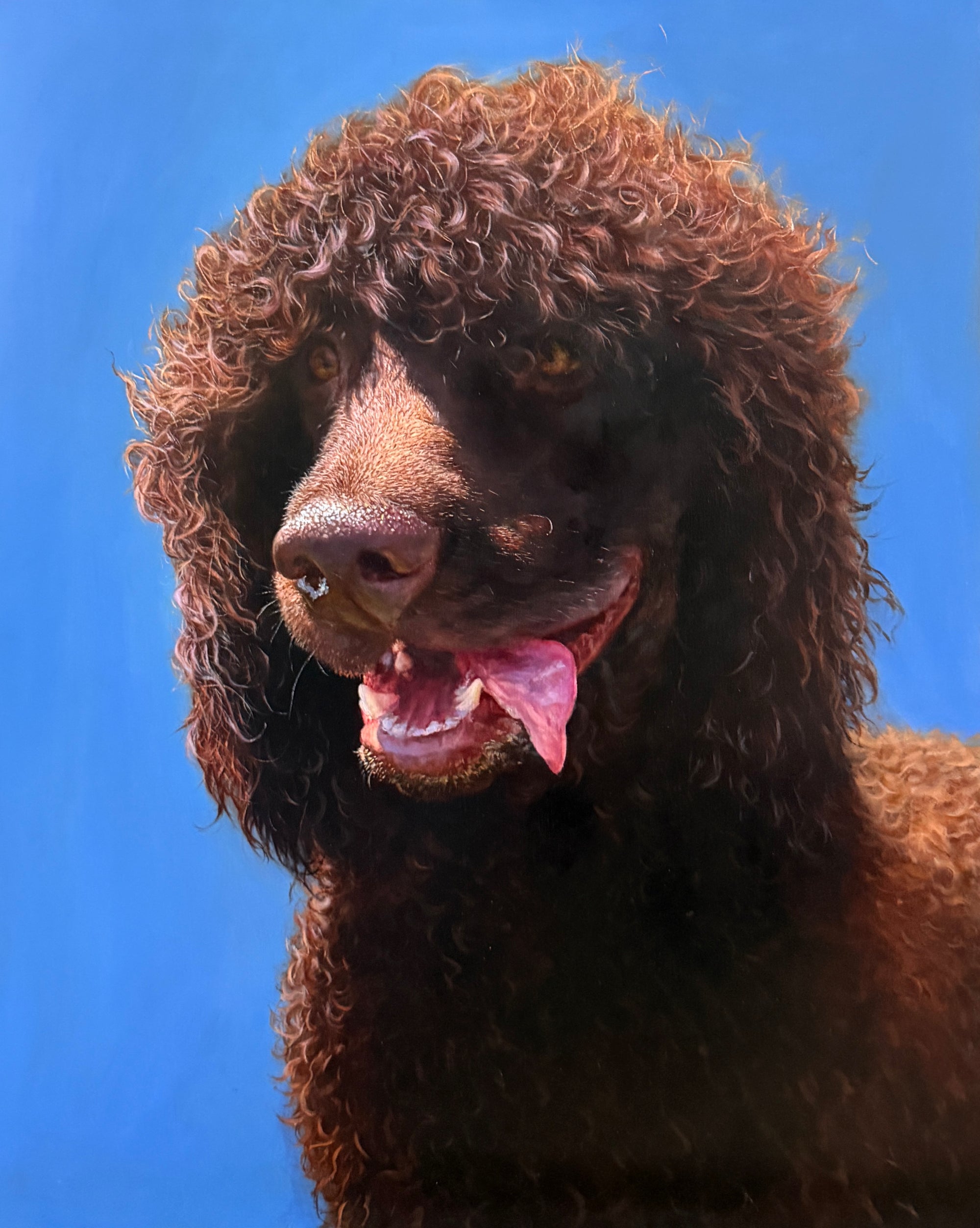 Original oil painting of an Irish Water Spaniel from the Irish Dog Portraiture Collection.