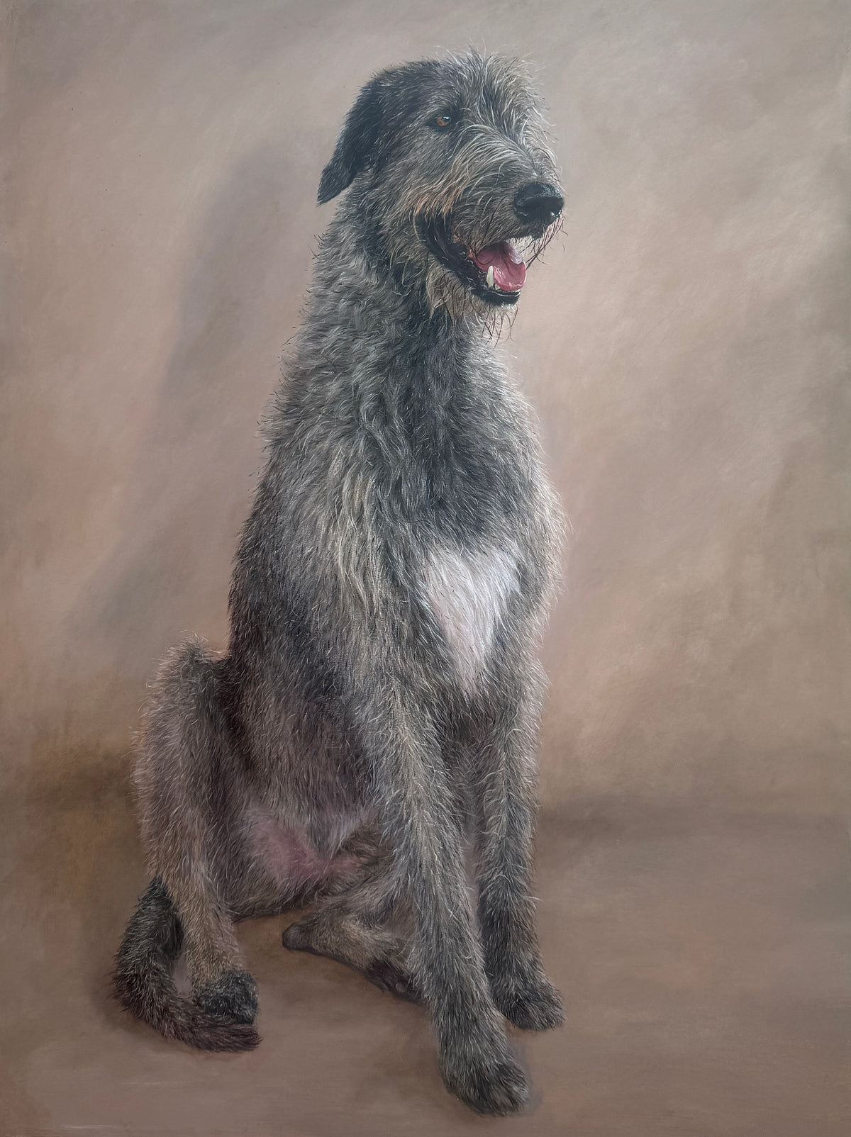 Original oil painting of an Irish Wolfhound from the Irish Dog Portraiture Collection.