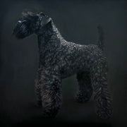 Original oil painting of a Kerry Blue Terrier from the Irish Dog Portraiture Collection.