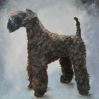 Oil painting of a Kerry Blue Terrier.