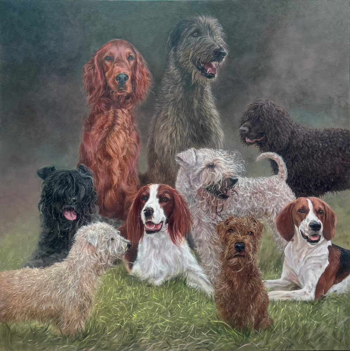 Oil painting featuring all nine native Irish dog breeds from the Irish Dog Portraiture Collection.