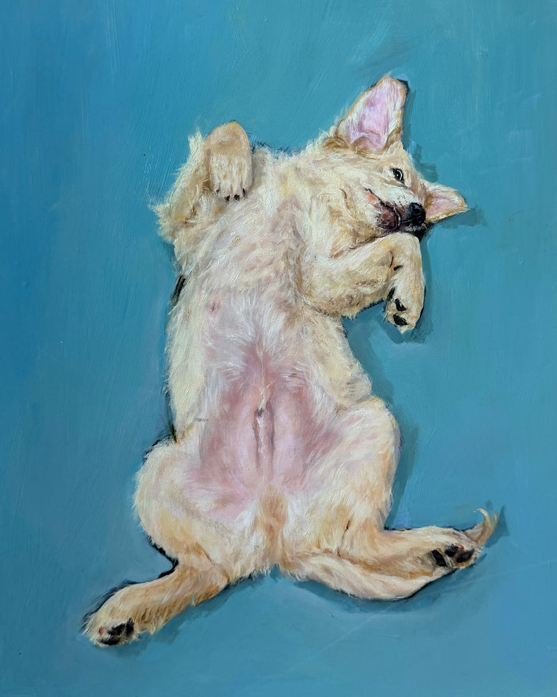 Paws Up oil painting of a Golden Retriever puppy sleeping on its back by Laura Medvedieva