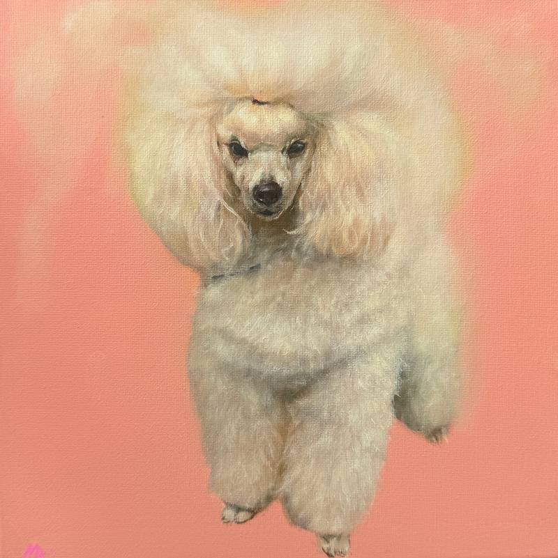 The Showstopper, an oil painting of a white poodle.