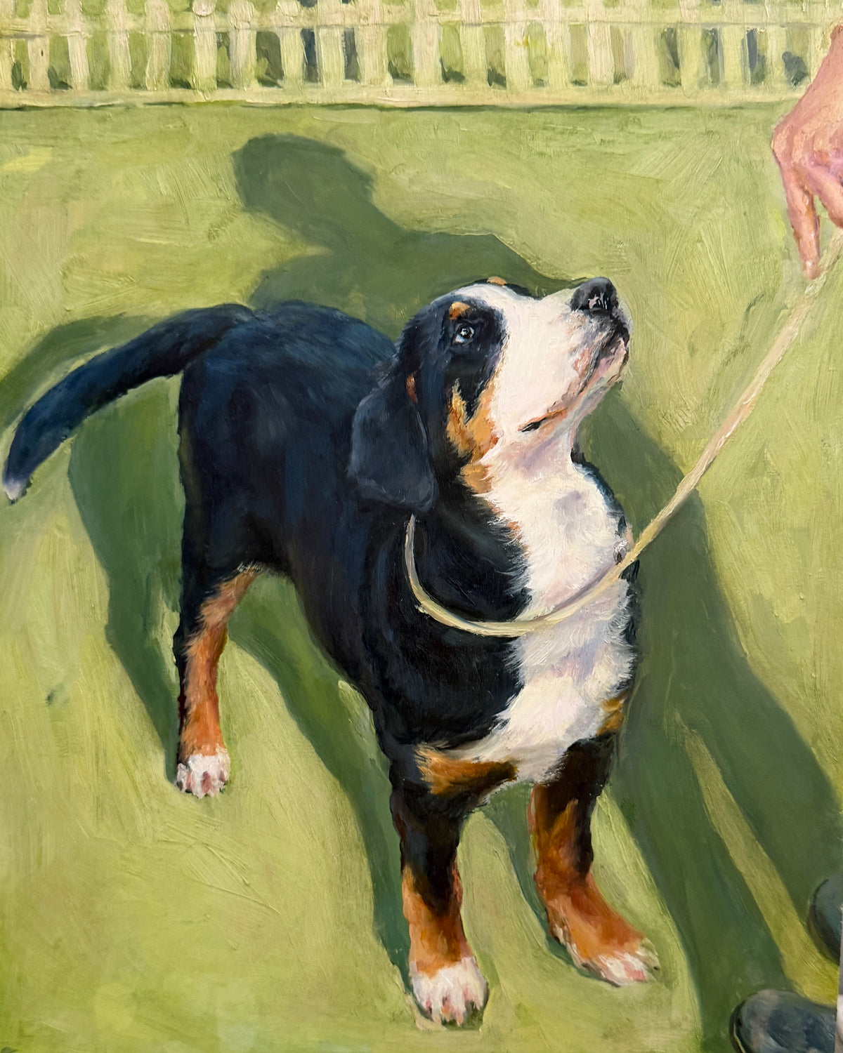 Ready?, an oil painting of a fluffy puppy.