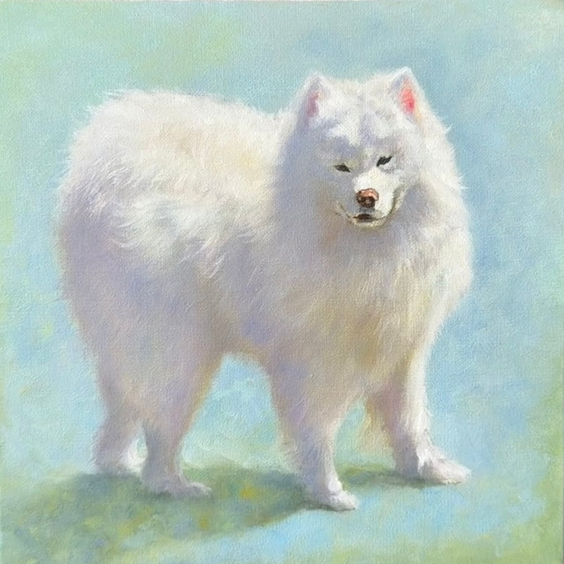 Arctic Bloom fine art print featuring an oil painting of a Samoyed.