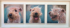 Original acrylic triptych of a Soft Coated Wheaten Terrier from the Irish Dog Portraiture Collection.