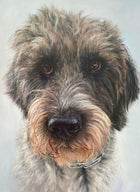 Oil portrait of Trolli, a wirehaired dog.