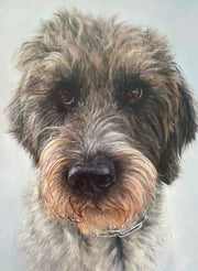 Oil portrait of Trolli, a wirehaired dog.