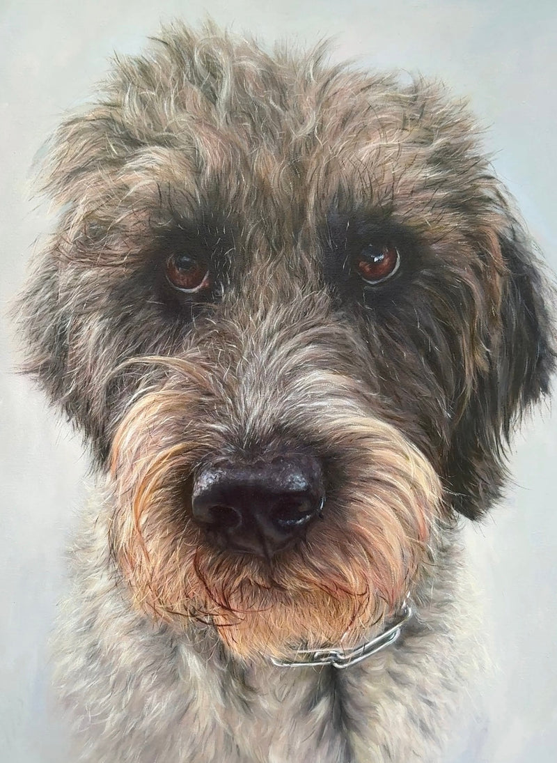 Oil portrait of Trolli, a wirehaired dog.